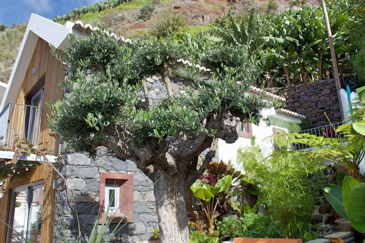 Ourmadeira - Villa Do Mar Iv, Secluded Calheta  Eksteriør billede